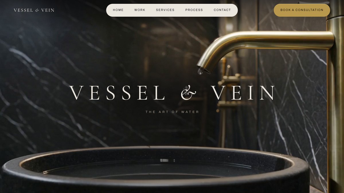 Vessel & Vein website